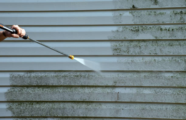 Reliable Cambria, IL Pressure Washing Solutions