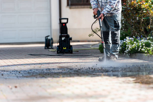 Best Roof Power Washing Services  in Cambria, IL