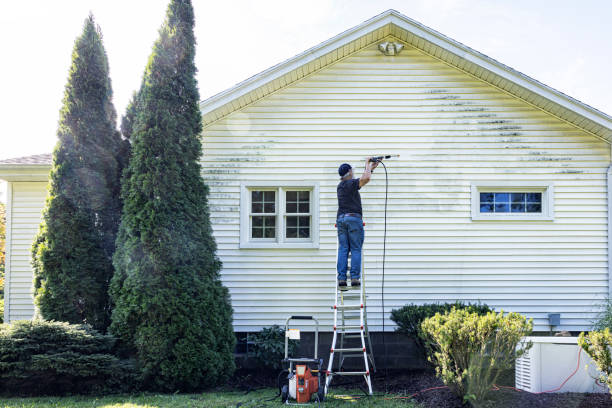 Best Concrete Pressure Washing  in Cambria, IL