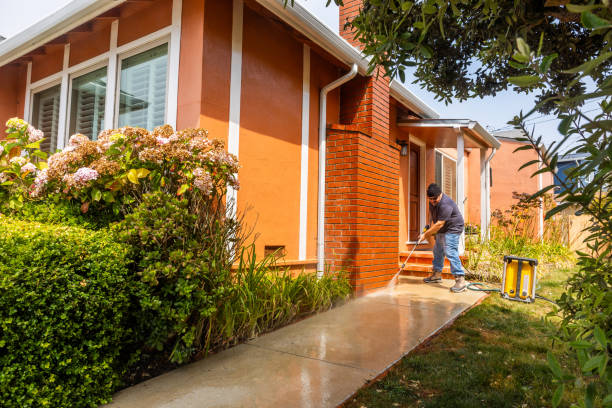 Best Fence Pressure Washing  in Cambria, IL