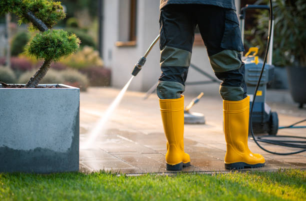 Best Affordable Power Washing  in Cambria, IL